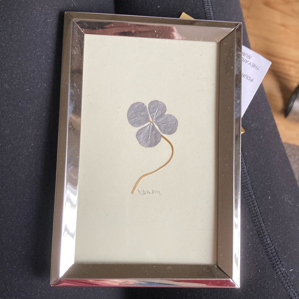 Four Leaf Clover framed